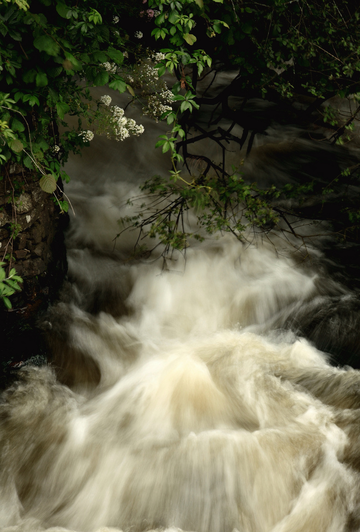 l'eau coule et le temps passe