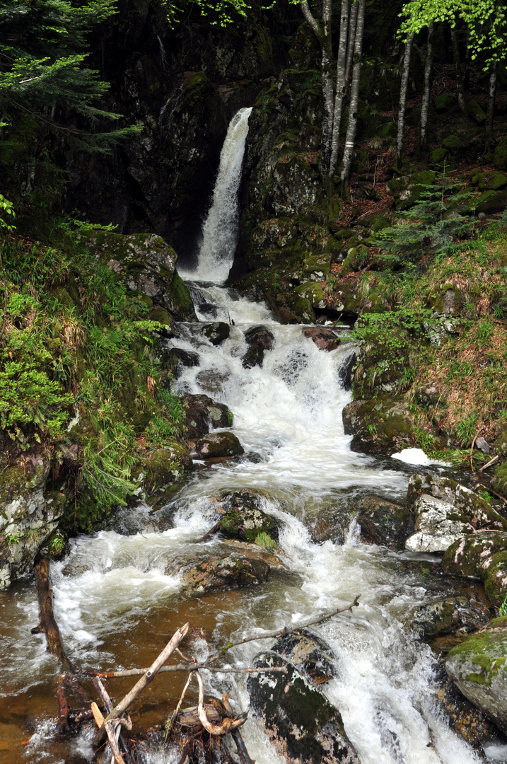 l'eau dans tous ses éléments! (vosges/ jura )