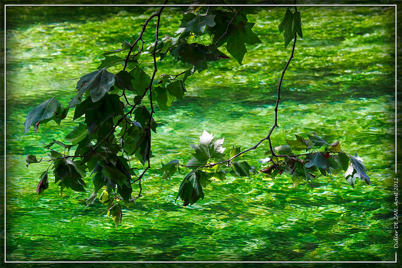 L'eau de Fontaine de Vaucluse ....