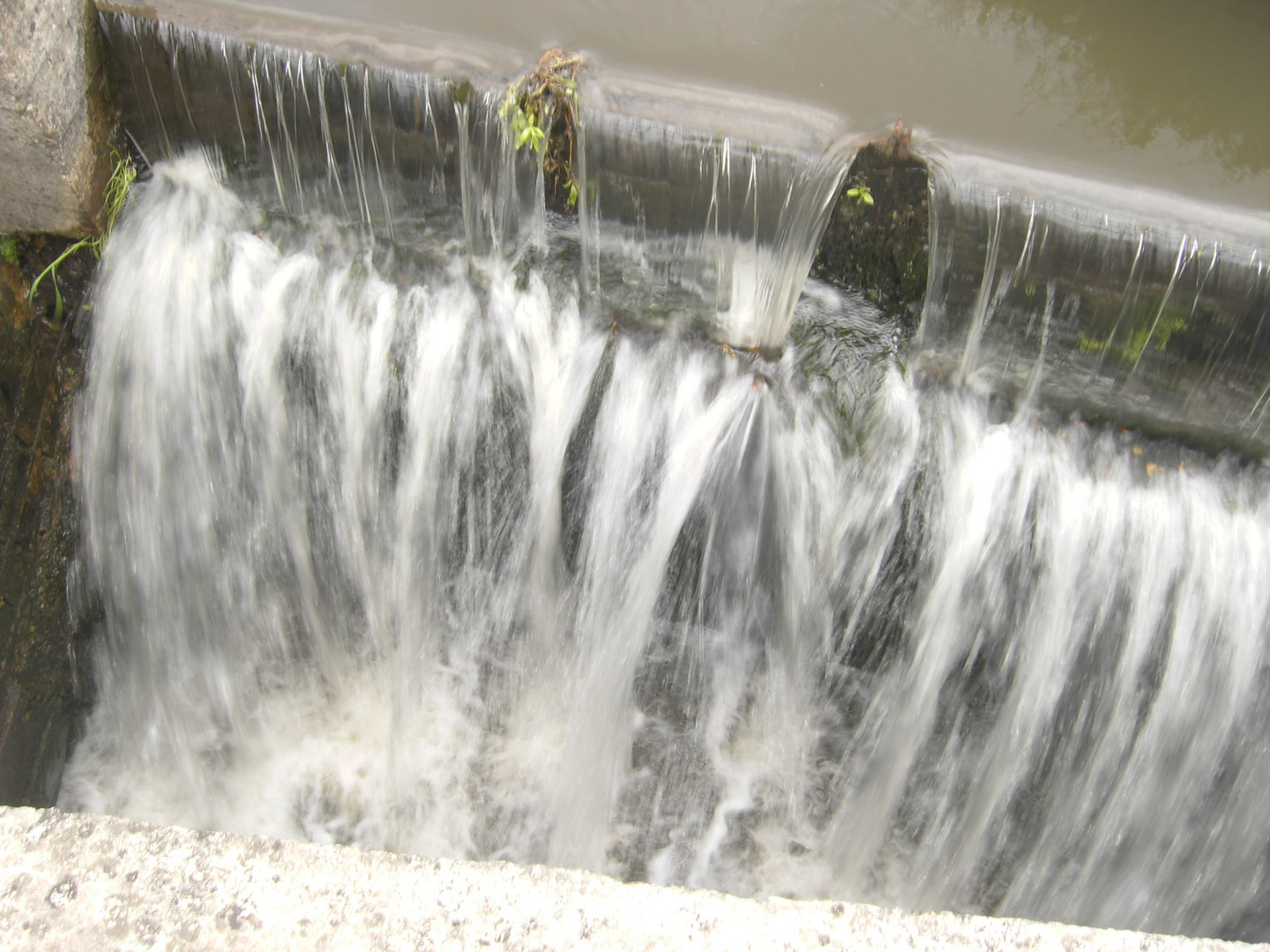 l'eau de vie grisant