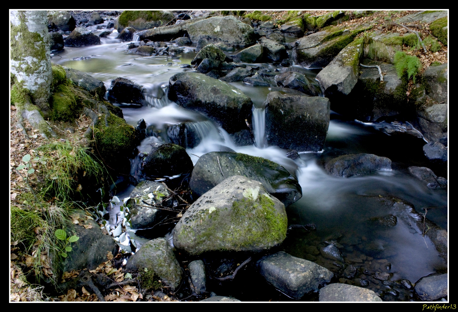 l'eau du matin