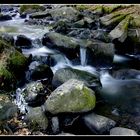 l'eau du matin