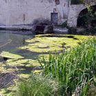 l'eau du moulin .... Arlinde, Gard