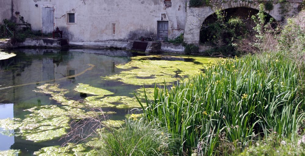 l'eau du moulin .... Arlinde, Gard