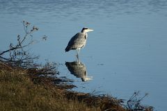 L'eau est fraîche !