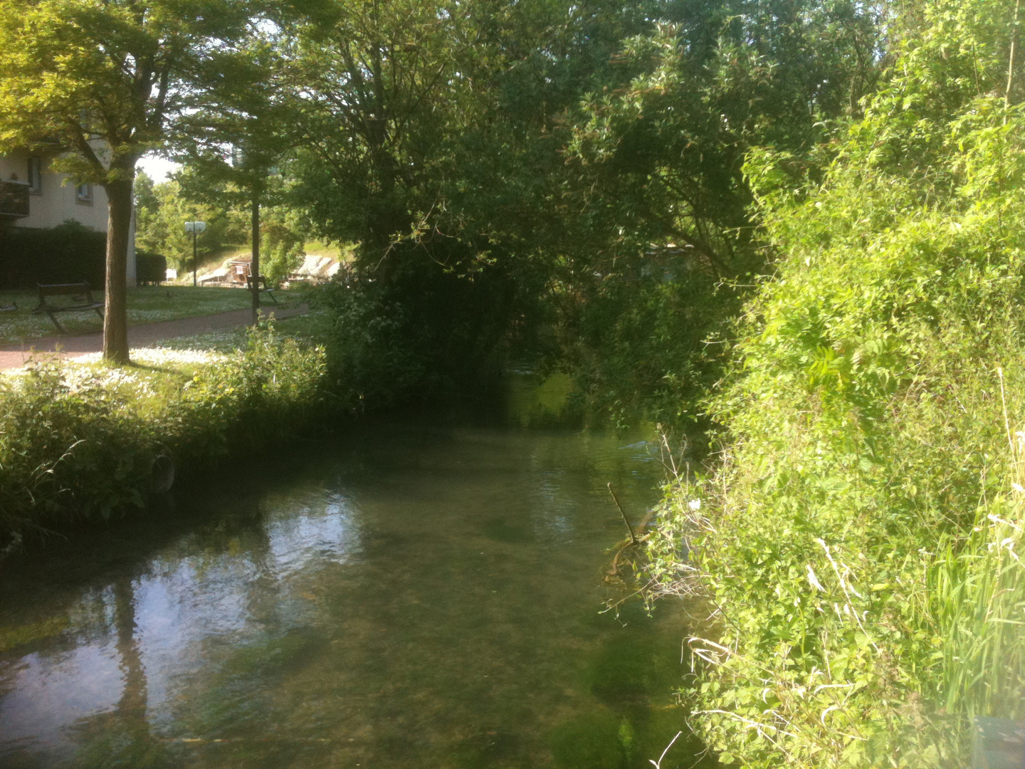 l'eau est transparentes