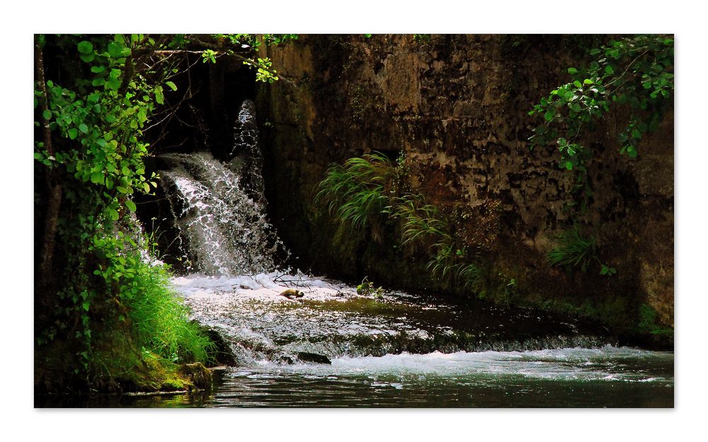 L'eau et la vie