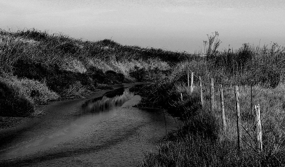 L'eau et les poteaux...