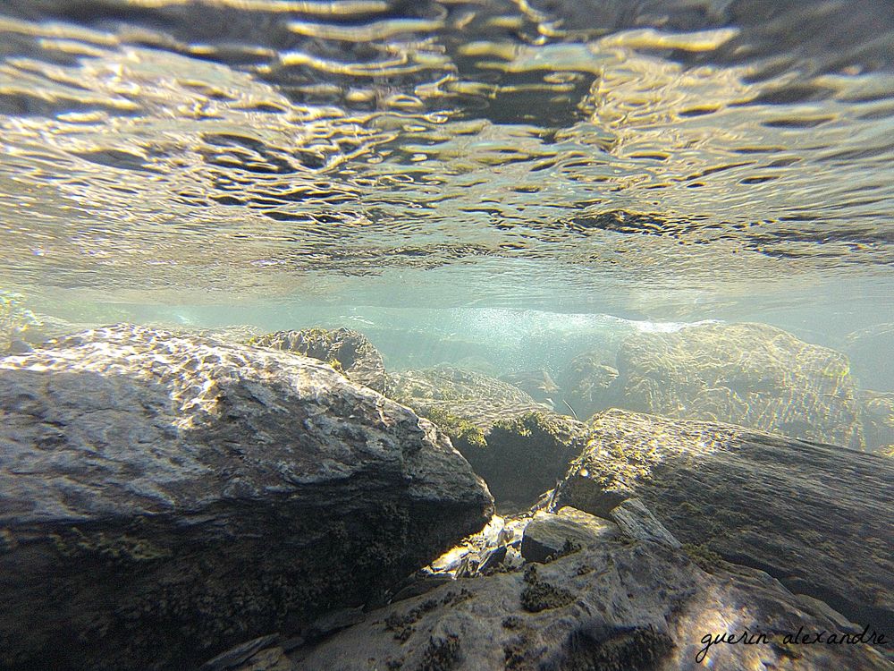 “L'eau, goutte à goutte, creuse le roc. ” Théocrite