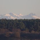 l'eau , la forêt, la montagne