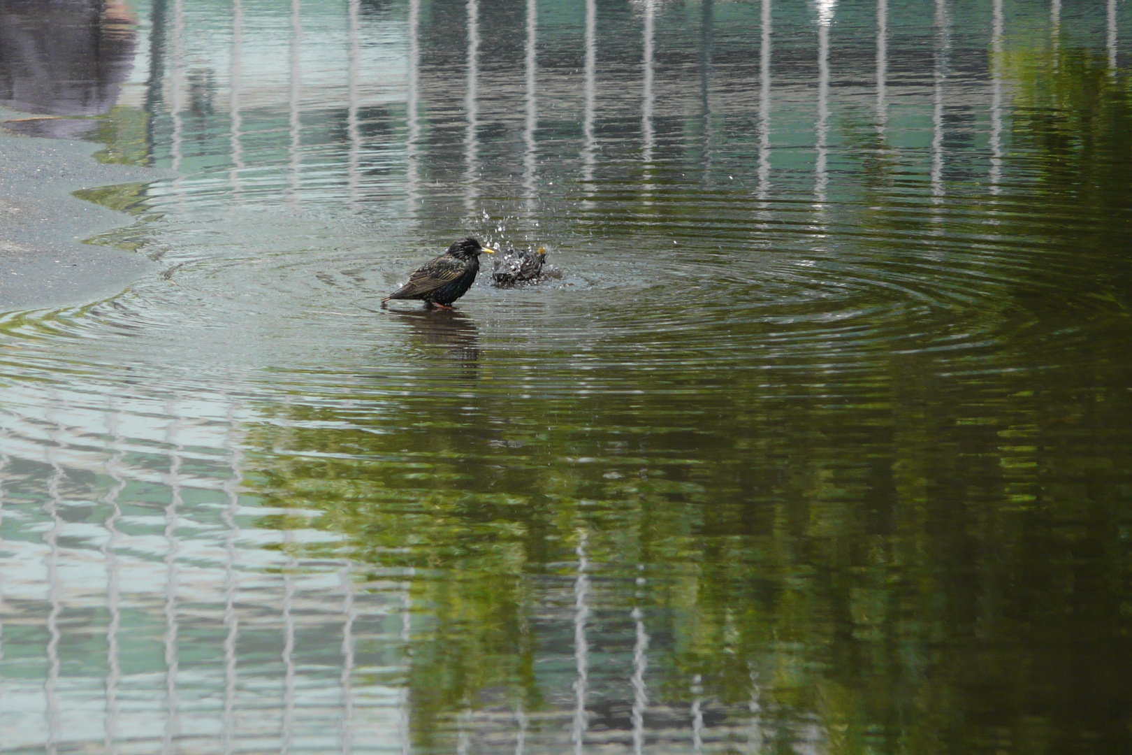 l'eau, la vie.