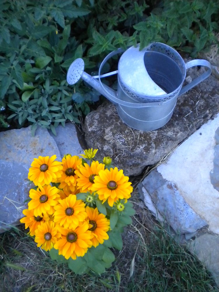 L'eau, vie de la nature de bichette 