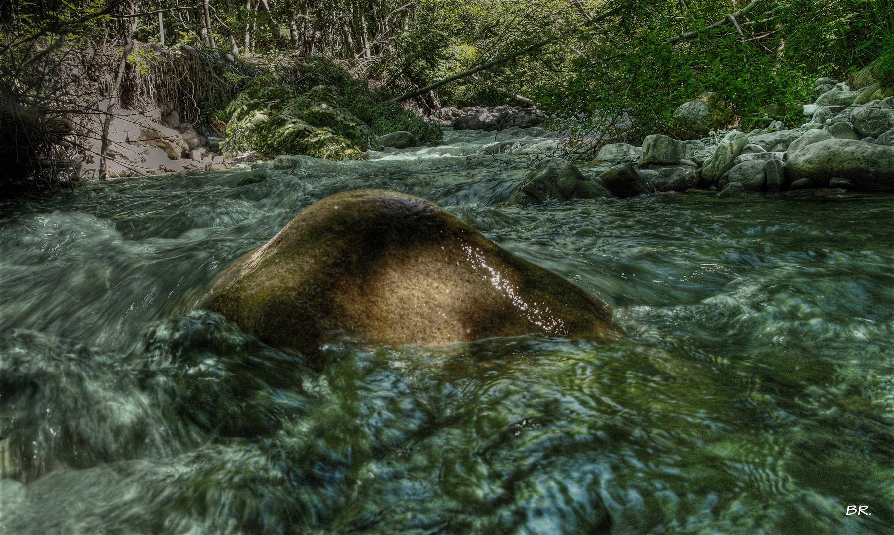 L'eau vive !!!!!!