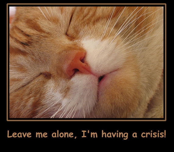 Leave me alone, I'm having a crisis!