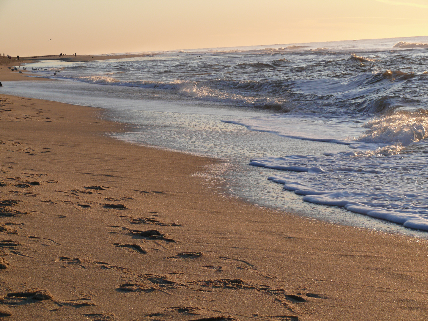 Leave nothing but footprints in the sand.