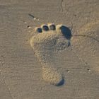 Leave your footprint.....