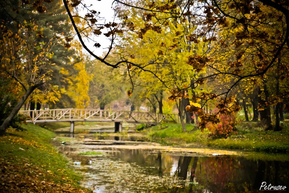 Leaves and bridge and water and..........Autumn