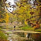 Leaves and bridge and water and..........Autumn