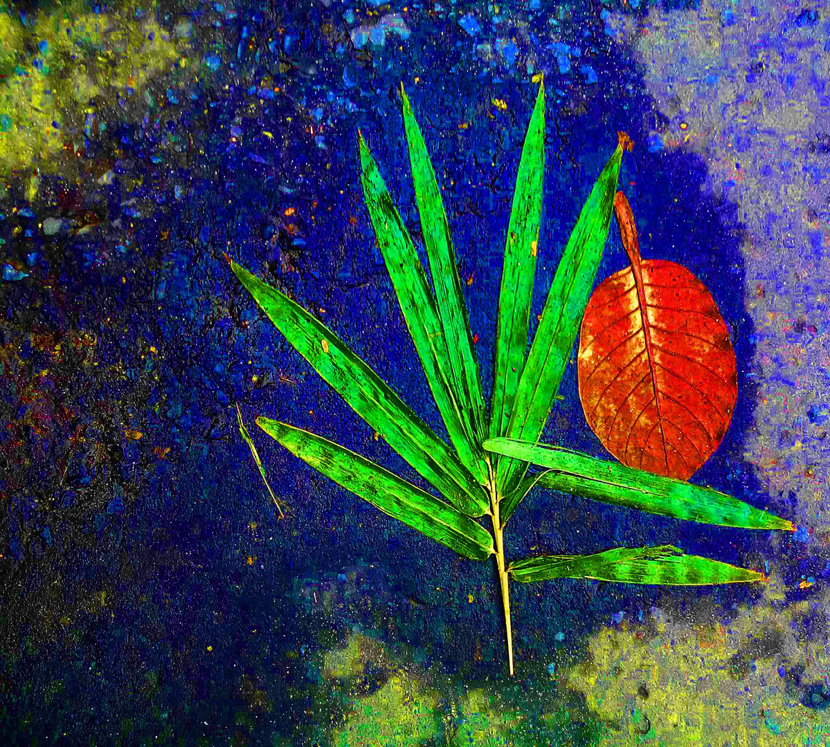 Leaves on a road