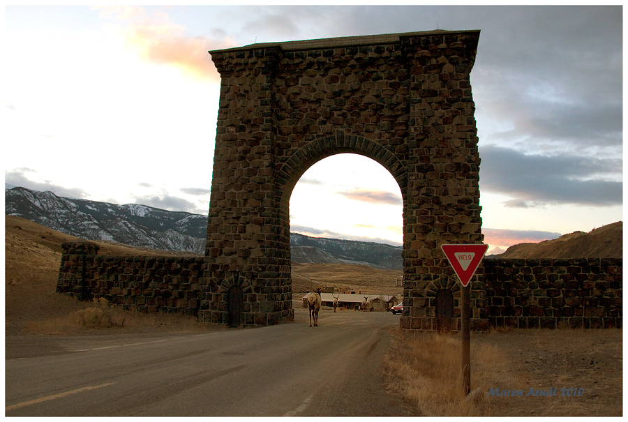 Leaving Yellowstone