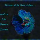 Lebe Deinen Traum