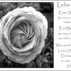 Lebe wohl