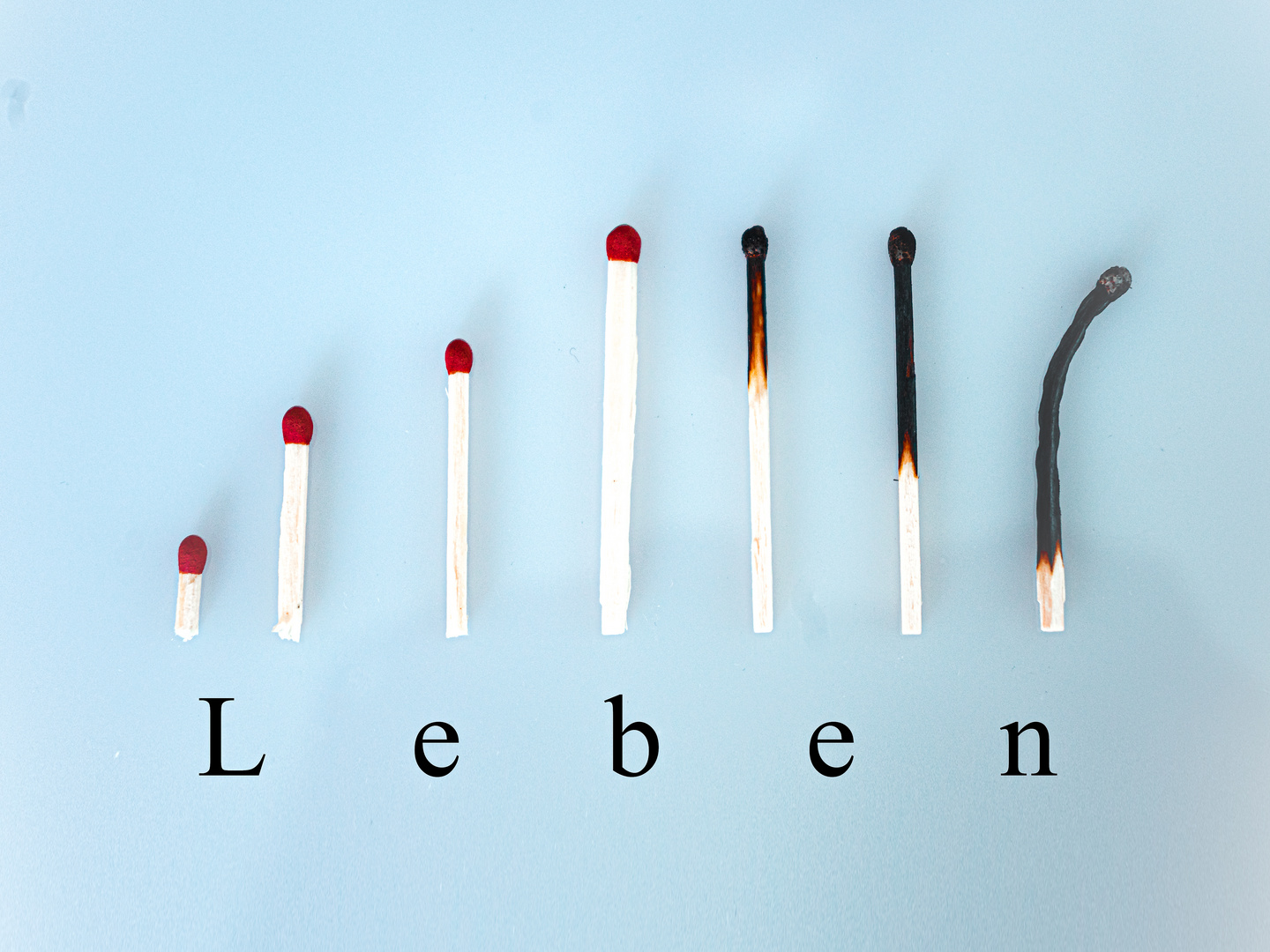 Leben