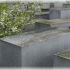 Leben