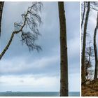 Leben am Abrund - Trilogie