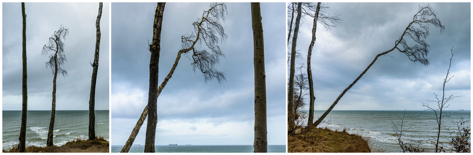 Leben am Abrund - Trilogie