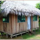 Leben am Amazonas 2: Hotel............