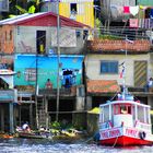 Leben am Amazonas