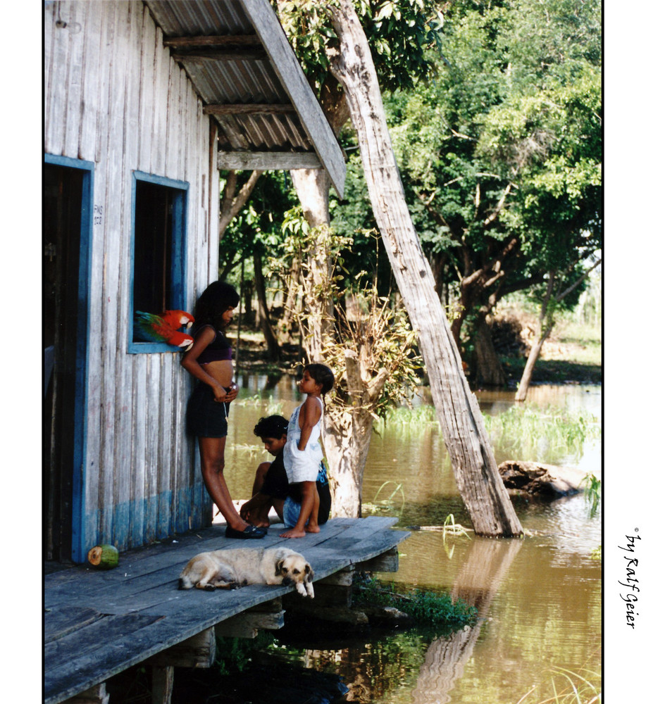 Leben am Amazonas