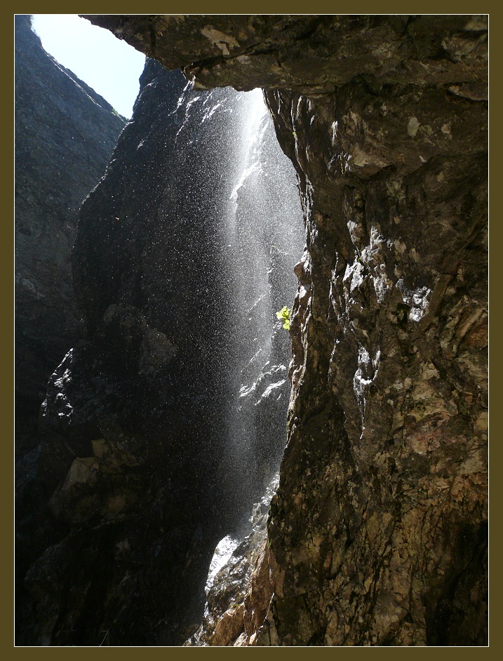 Leben am Felsen