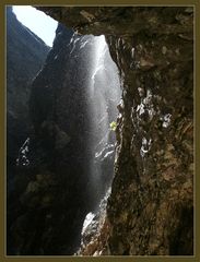 Leben am Felsen