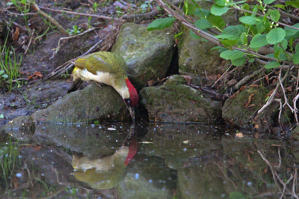 Leben am Fluss