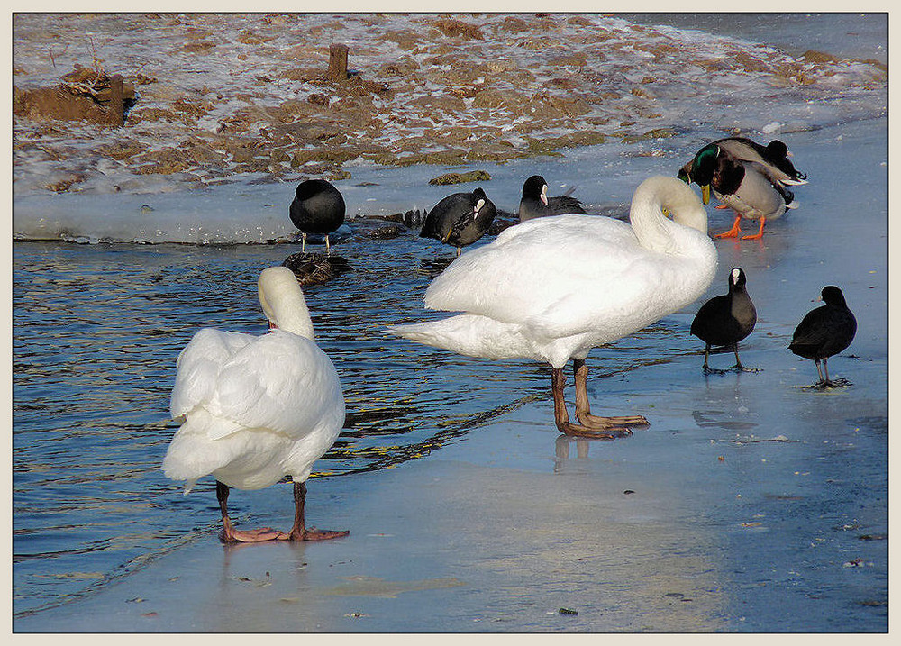 leben am fluss...I