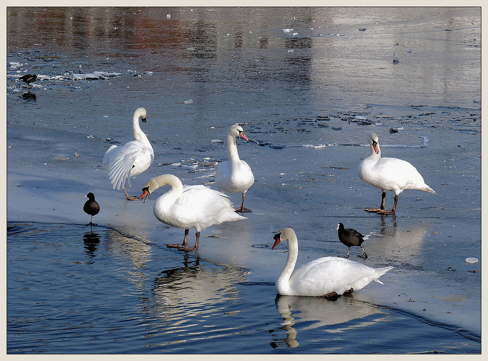 leben am fluss...II