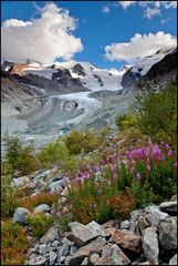 Leben am Gletscher