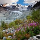 Leben am Gletscher