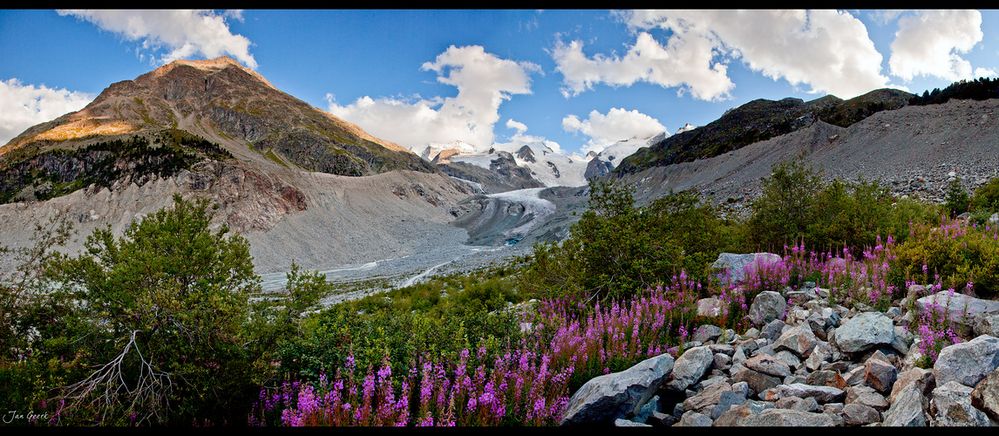 Leben am Gletscher II