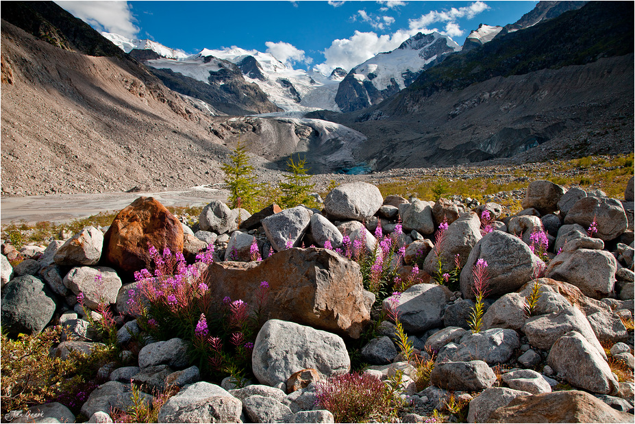 Leben am Gletscher III