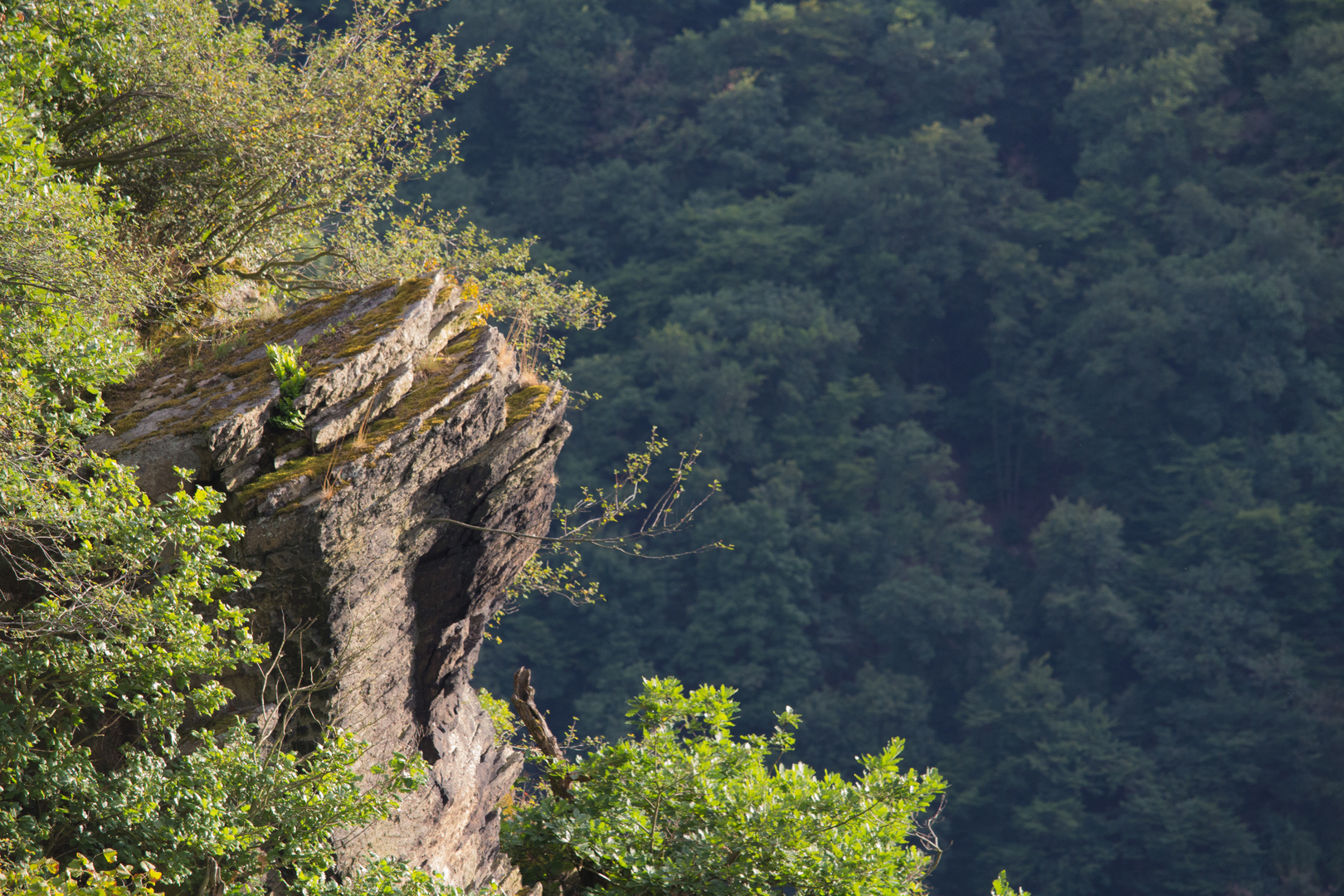 Leben am Hang (reloaded)