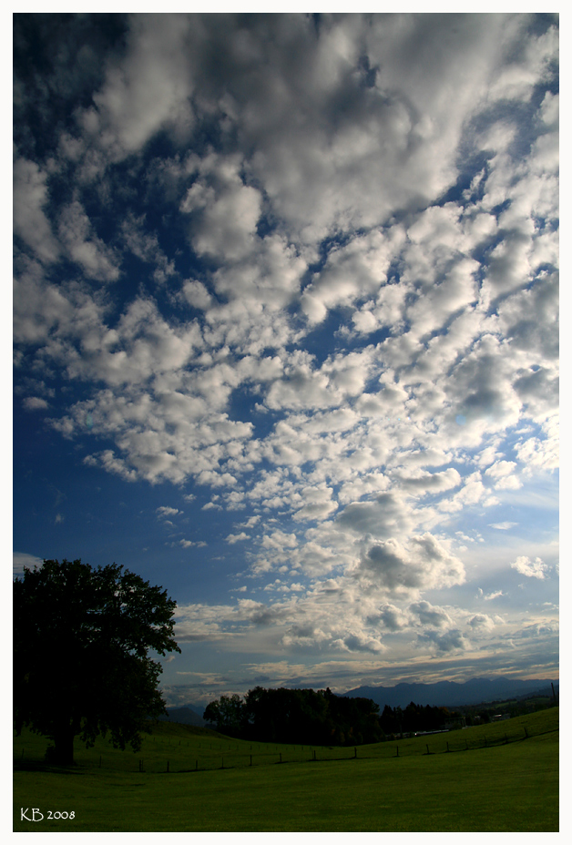 Leben am Himmel