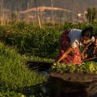 Leben am Inle Lake II