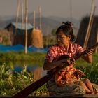 Leben am Inle Lake XII