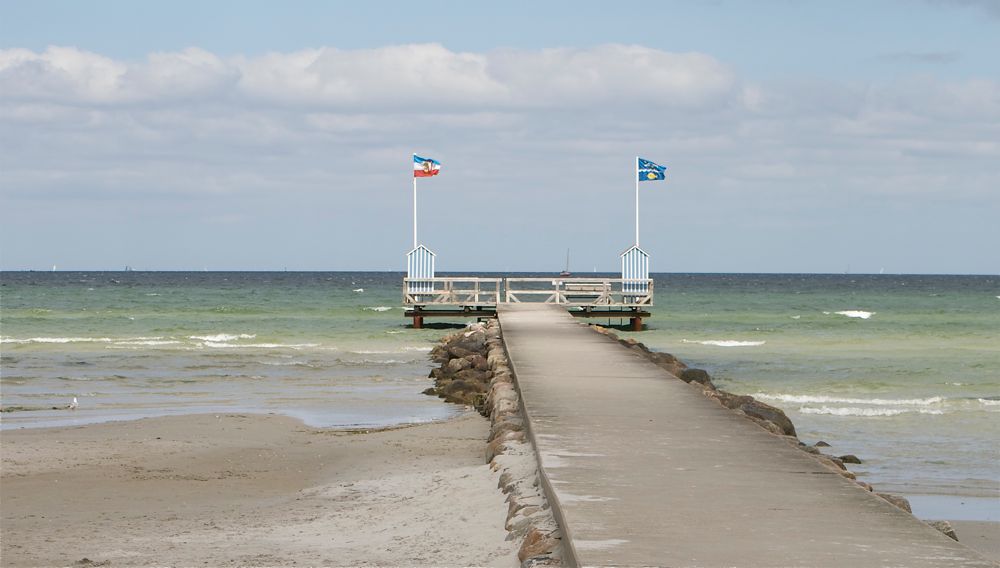 Leben am Meer und wenn es wärmer wird auch im Meer...