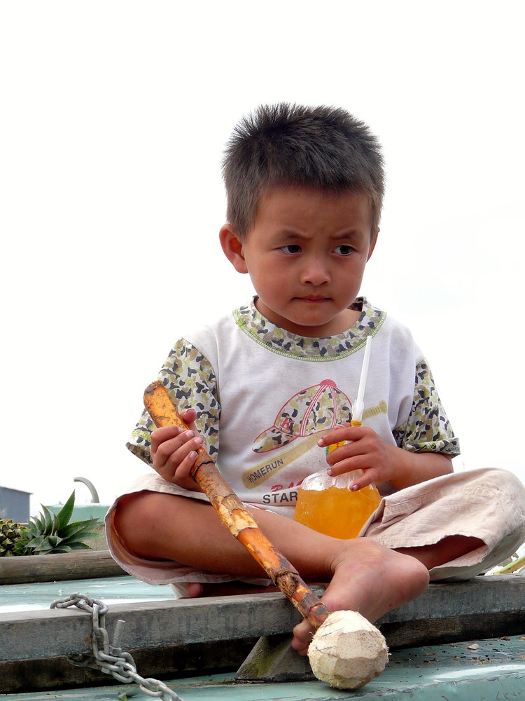 Leben am Mekong 2