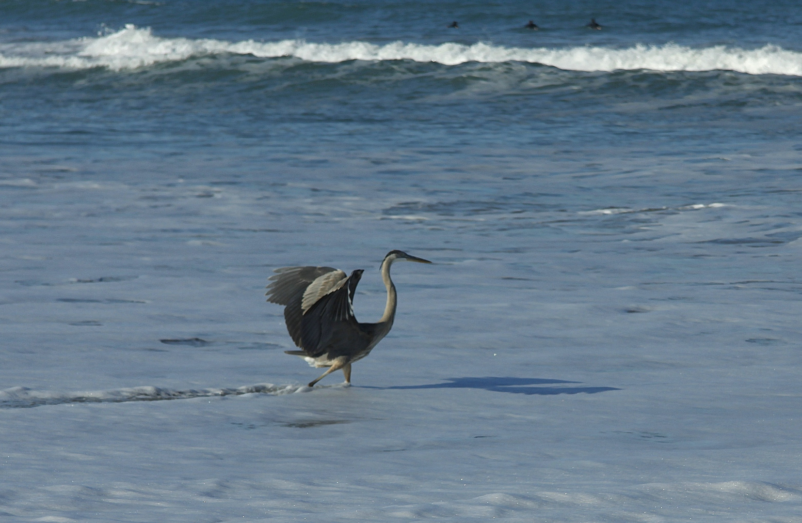 ...Leben am Melbourne Beach