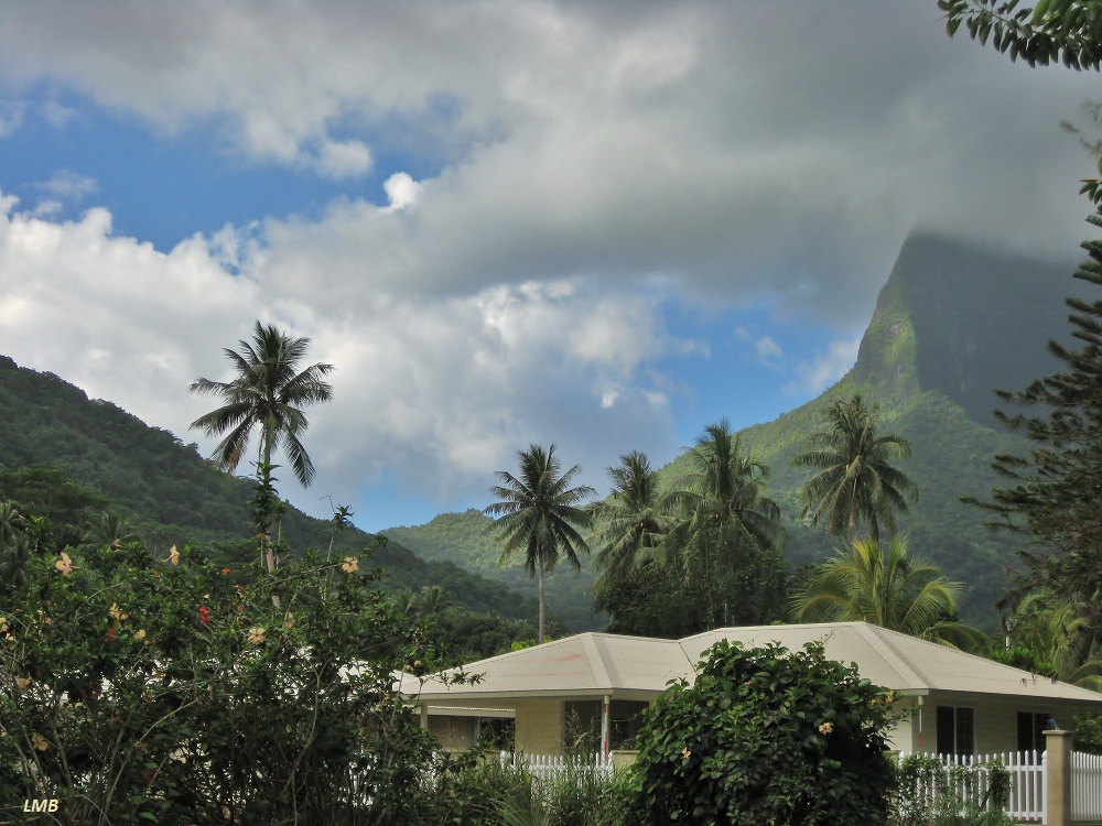 Leben am Mont Tohiea